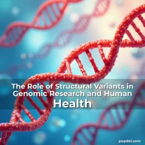 Artistic representation for The Role of Structural Variants in Genomic Research and Human Health